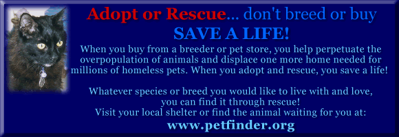 www.petfinder.org