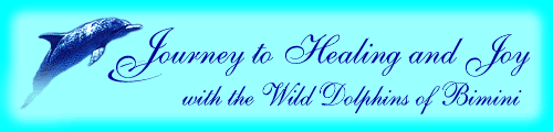 Back to the Dolphin Home Page
