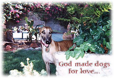 God made dogs for love...