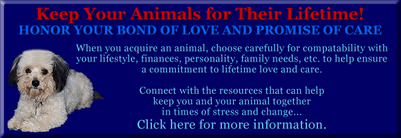 Resources to help you keep your animal