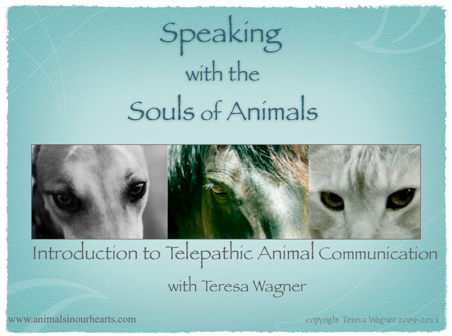 AC Webinar Cover Slide