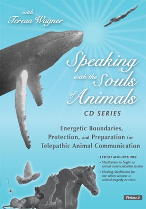 Energetic Boundaries, Protection and Preparation for Telepathic Animal Communication photo of CD case