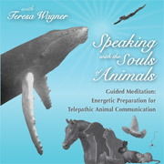 Guided Meditation for use before telepathic animal communication