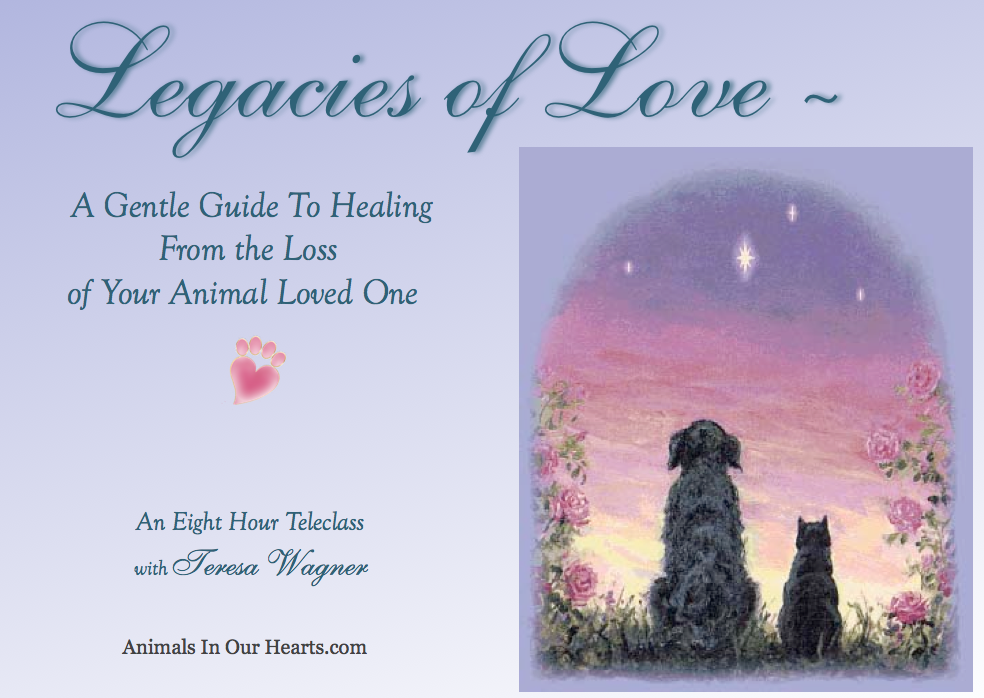 Legacies Class cover