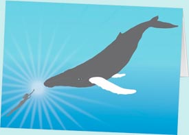 Whale Card