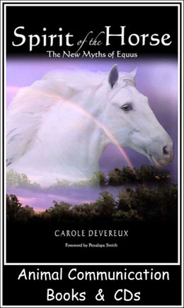 Animal communication books and cd's