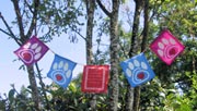 Animal Prayer Flags