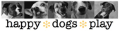 Happy Dogs Play