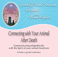 Connecting with your animal after death