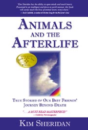 Pet Loss Book-Animals and the Afterlife