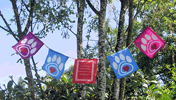 Pet Prayer Flags