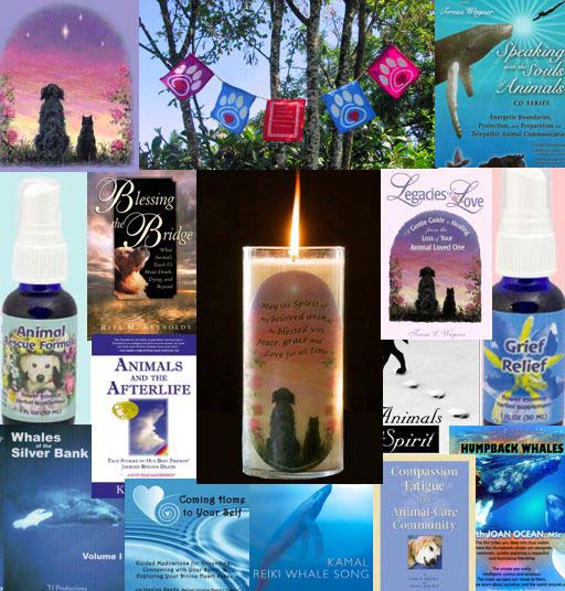 Store-Collage-vs2