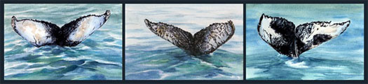 Humpback Whales Trio - Greeting Card