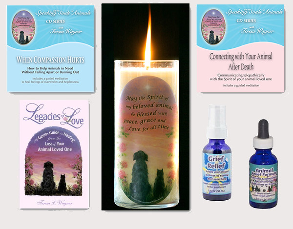 Pet Loss Memorial Candle display, Legacies of Love, When Compassion Hurts and Connecting with Your Animal After Death - audio recordings for wholesale