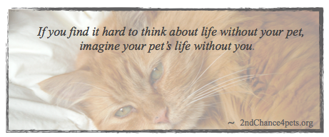 Griffie with quote