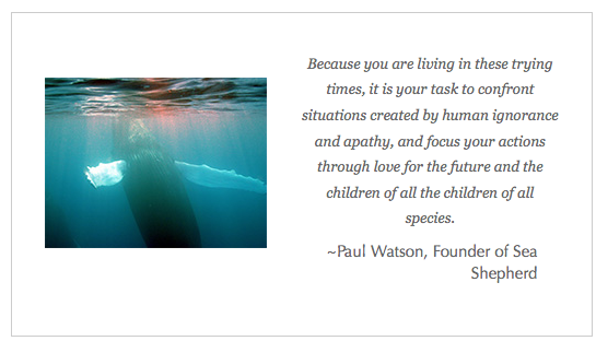 Watson quote