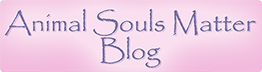 Animals Souls Matter Blog