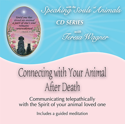 Connecting with the Soul of Your Animal After Death