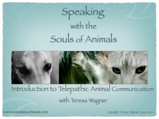 Animal Communication & Healing : How to Communicate with Animals--An  Introduction to Telepathic Animal Communication