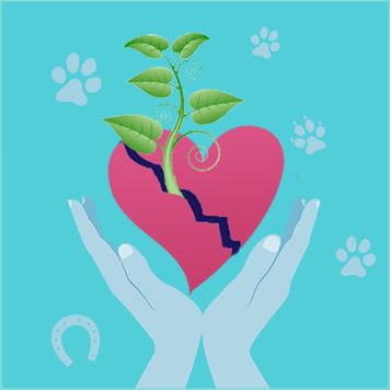 Pet Loss Grief Support Certification